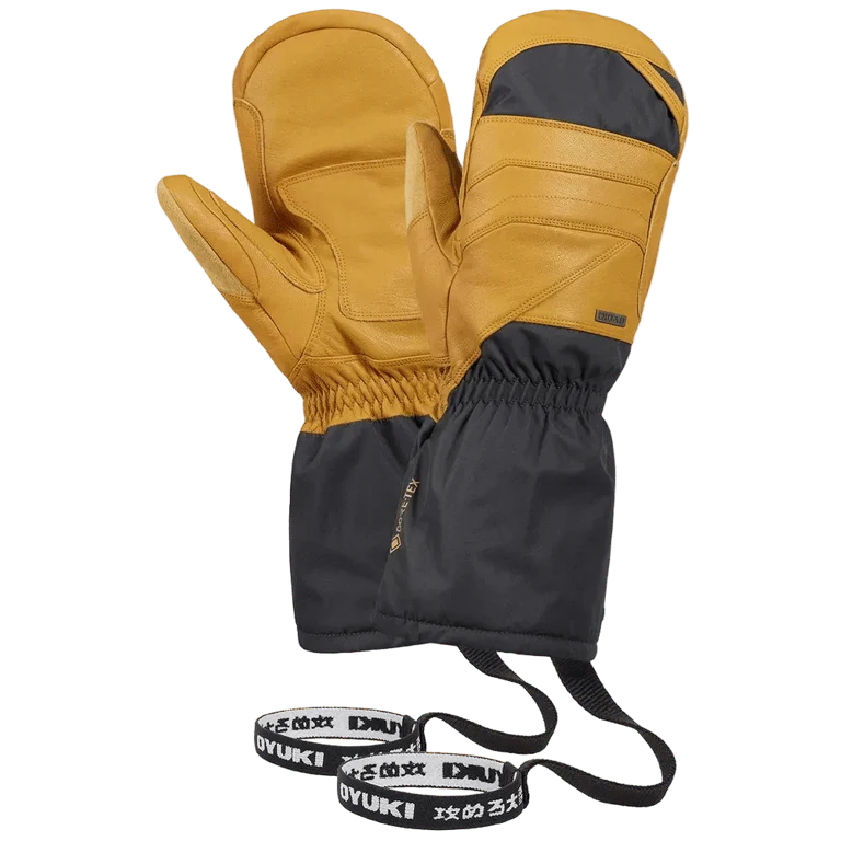 Arashi Guide Gtx Mitts