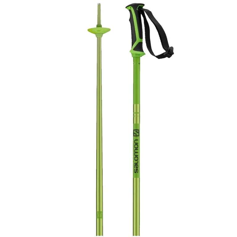 Arctic Ski Poles - Image 3