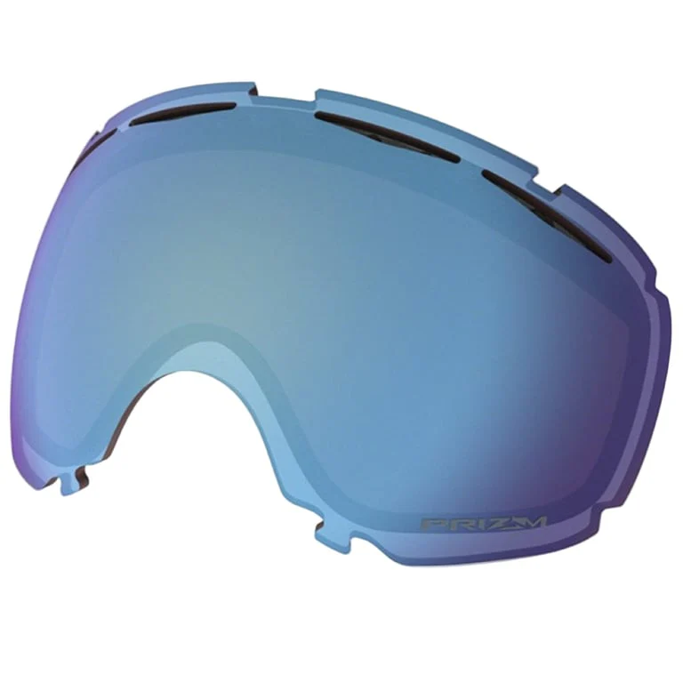 Canopy Replacement Lens - Image 4