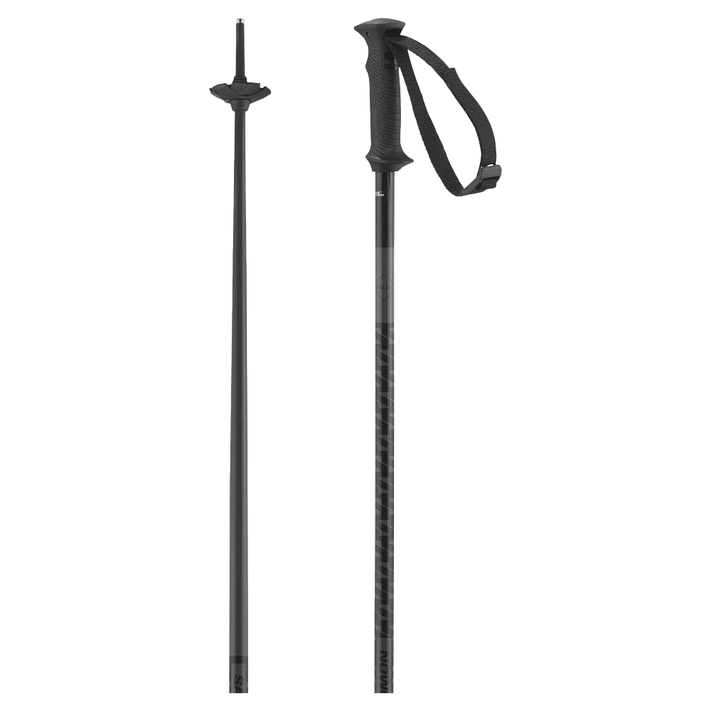 Polar Access Ski Poles