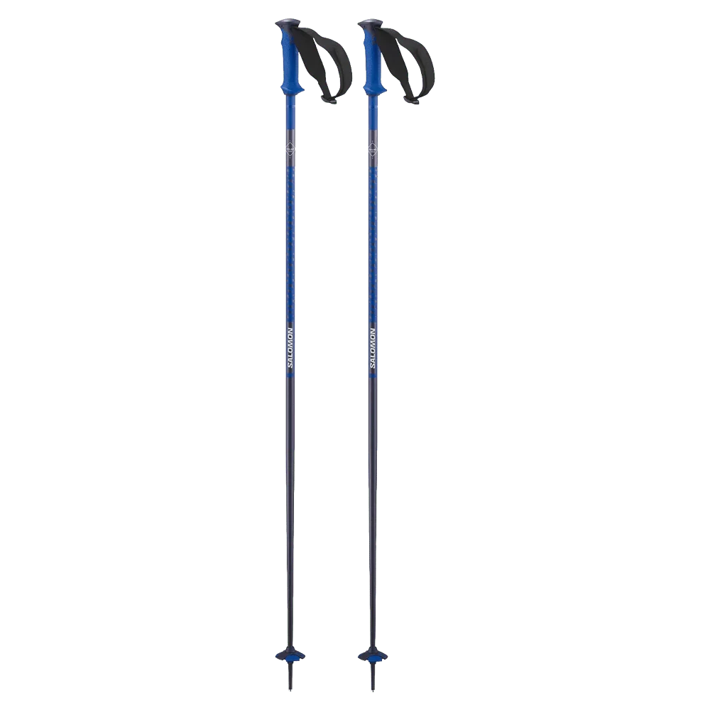 Polar Pro Ski Poles - Image 4
