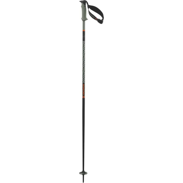 Polar Pro S3 Ski Poles
