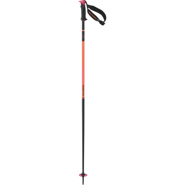 Polar Pro S3 Ski Poles - Image 3