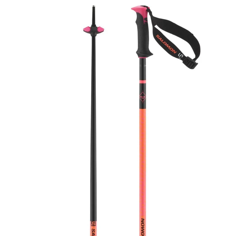 Polar Pro S3 Ski Poles - Image 4