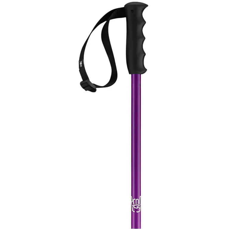 Prodigy Ski Poles - Image 2